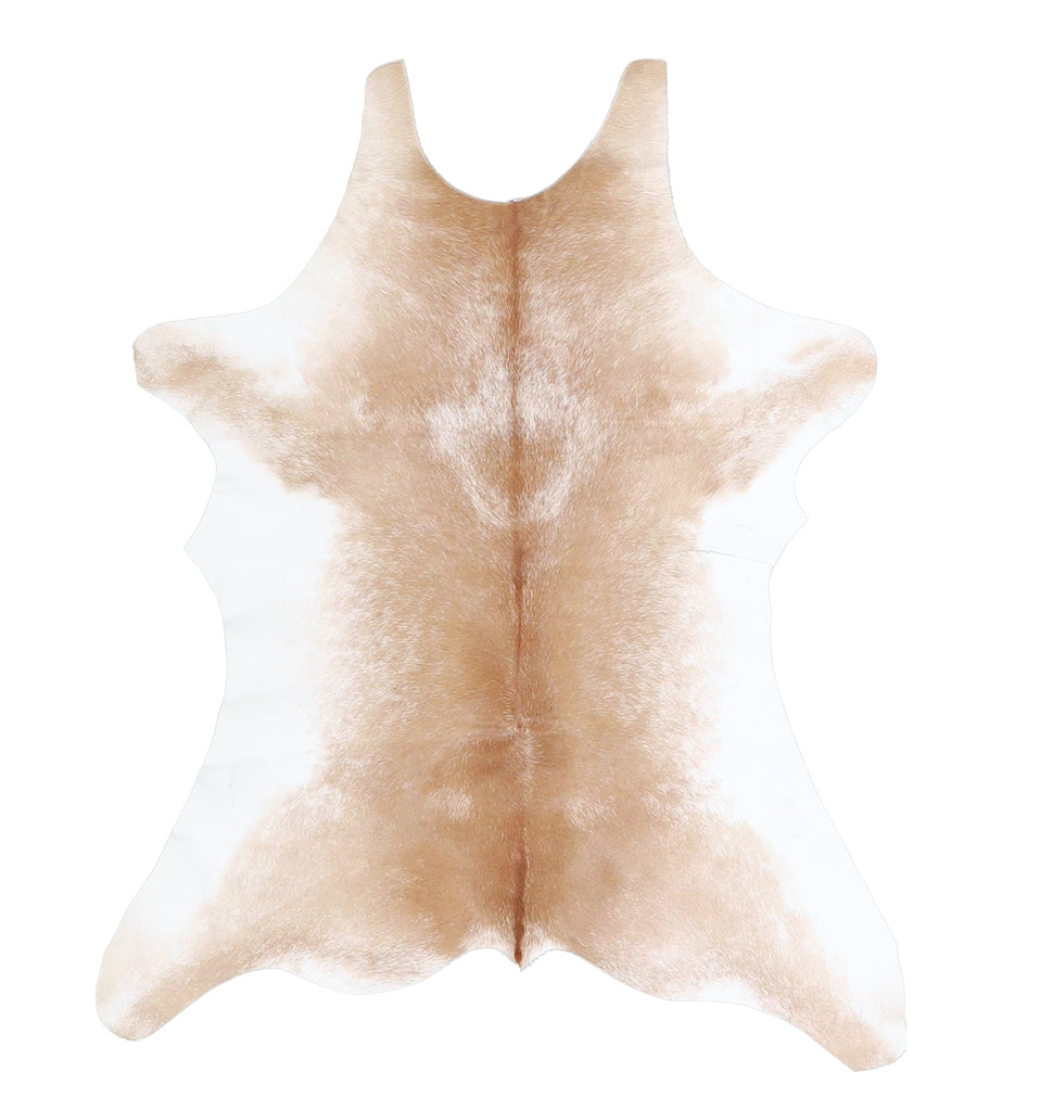 Calfhide Approx 2'x3' #A42357 by Hudson Hides