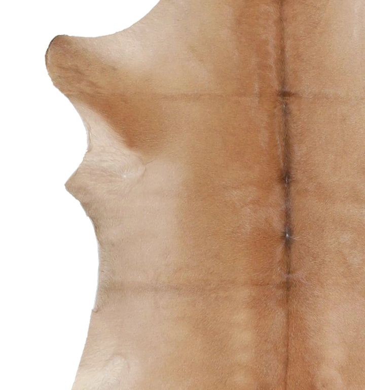Calfhide Approx 2'x3' #A42364 by Hudson Hides