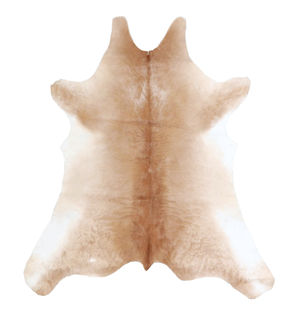 Calfhide Approx 2'x3' #A42365 by Hudson Hides
