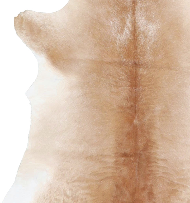 Calfhide Approx 2'x3' #A42365 by Hudson Hides