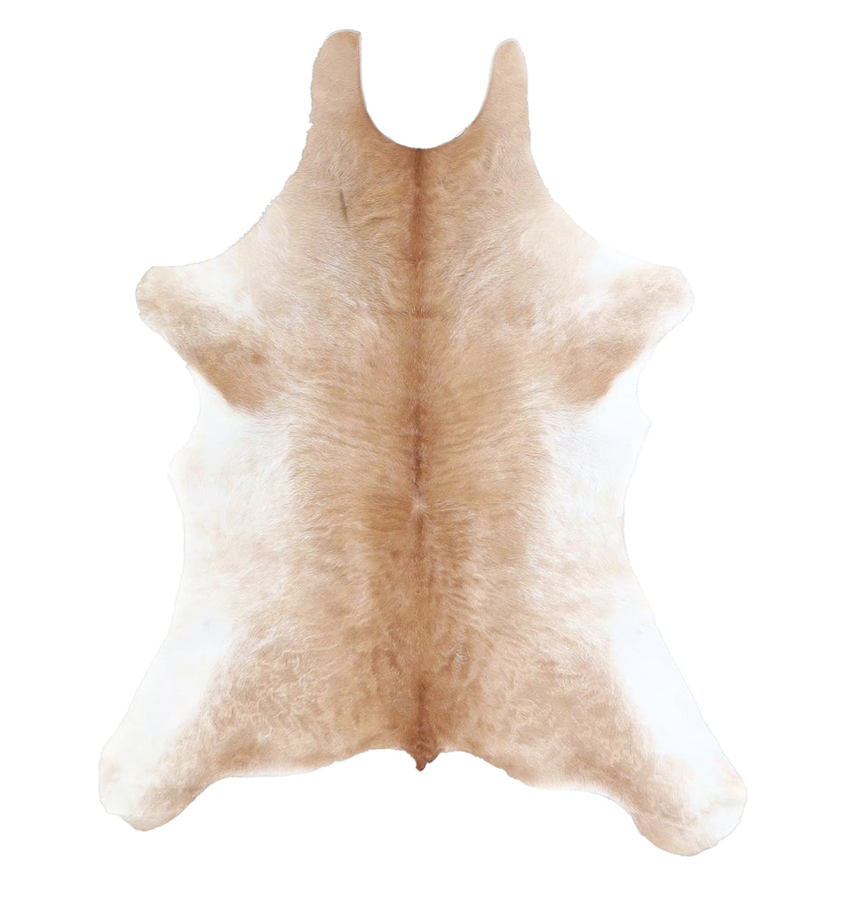 Calfhide Approx 2'x3' #A42367 by Hudson Hides