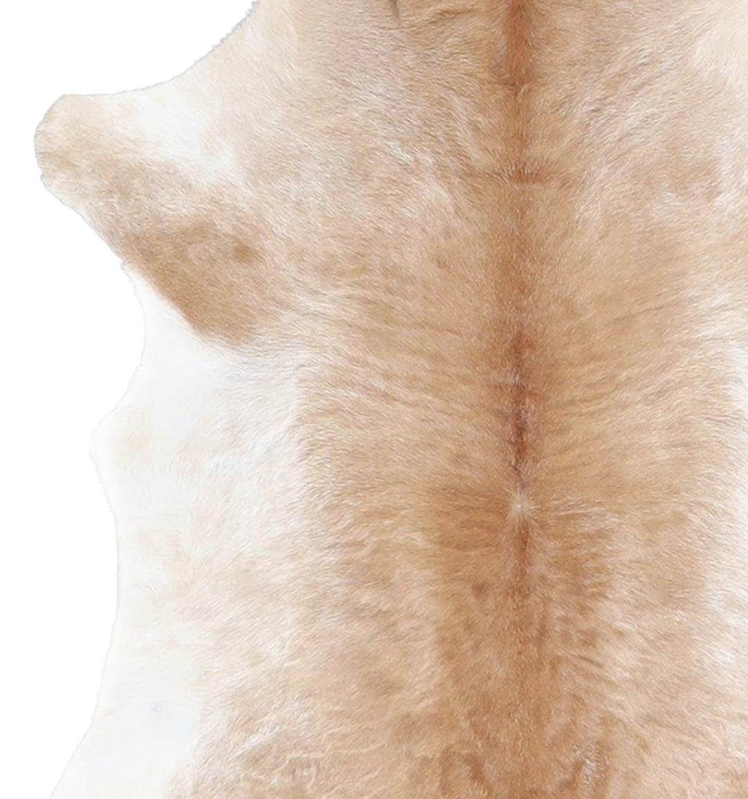Calfhide Approx 2'x3' #A42367 by Hudson Hides