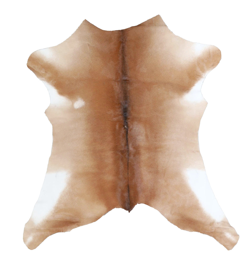 Calfhide Approx 2'x3' #A42368 by Hudson Hides