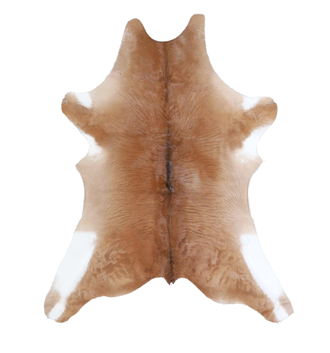 Calfhide Approx 2'x3' #A42371 by Hudson Hides