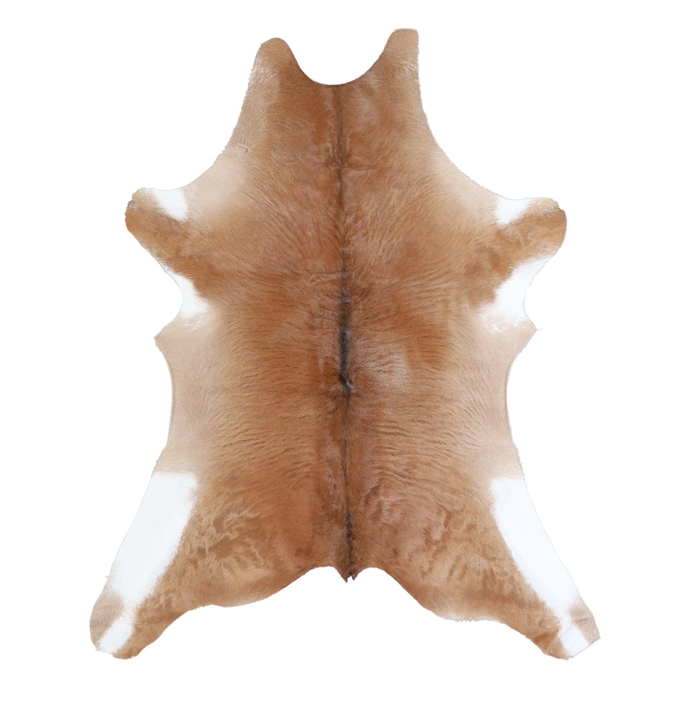 Calfhide Approx 2'x3' #A42371 by Hudson Hides