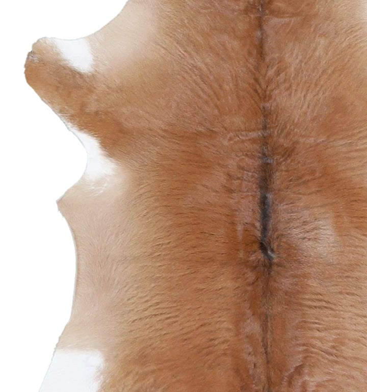 Calfhide Approx 2'x3' #A42371 by Hudson Hides