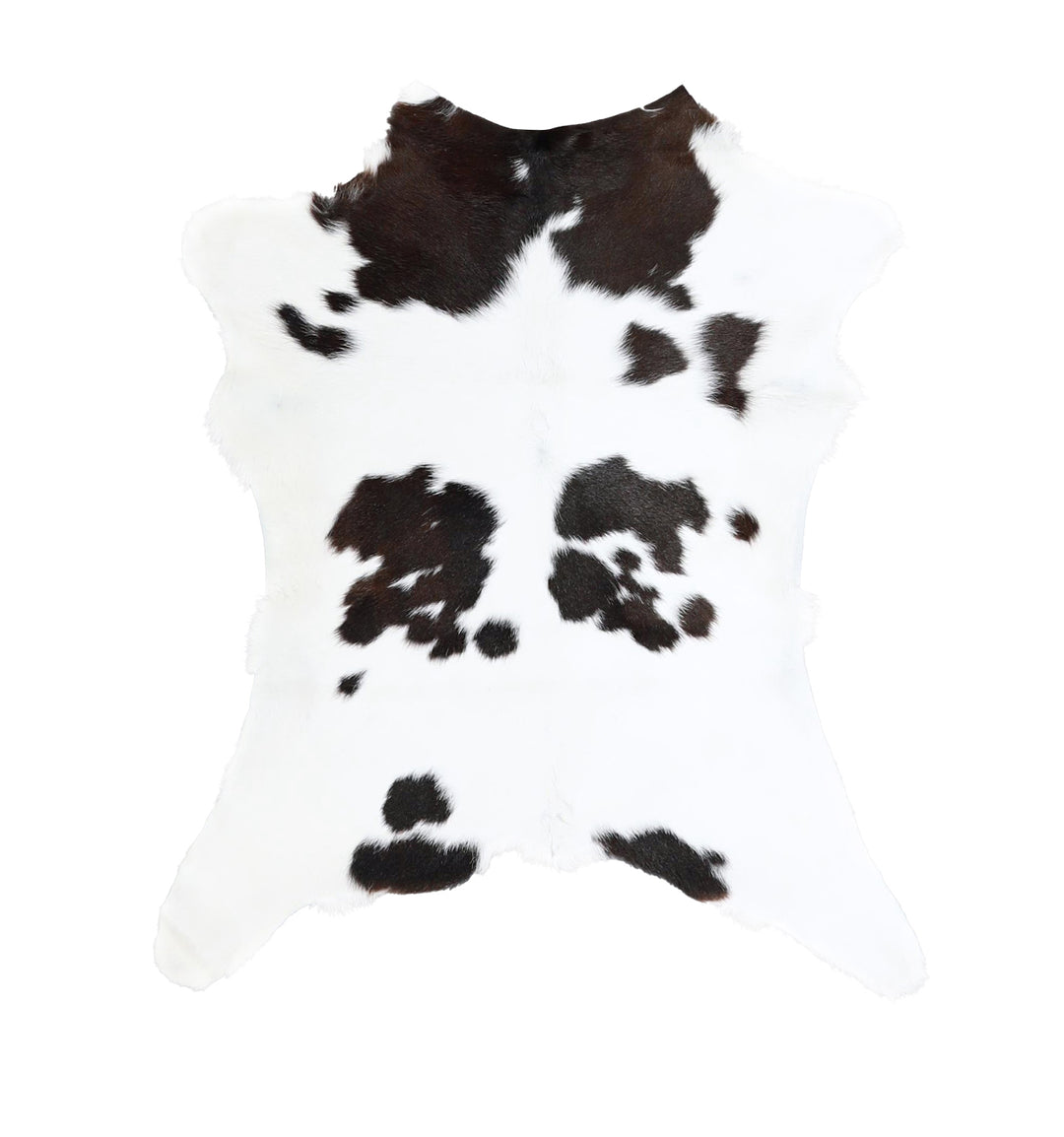 Calfhide Approx 2'x3' #A42376 by Hudson Hides