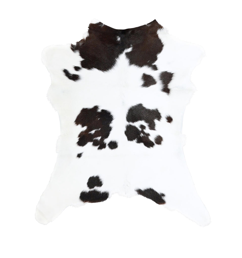 Calfhide Approx 2'x3' #A42376 by Hudson Hides