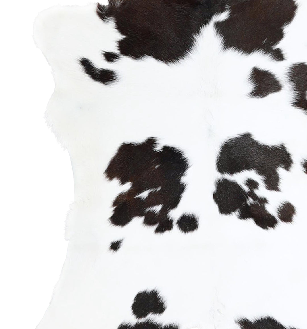Calfhide Approx 2'x3' #A42376 by Hudson Hides