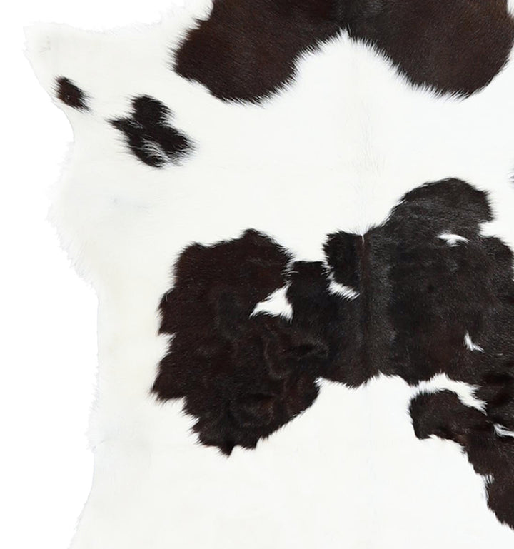 Calfhide Approx 2'x3' #A42377 by Hudson Hides