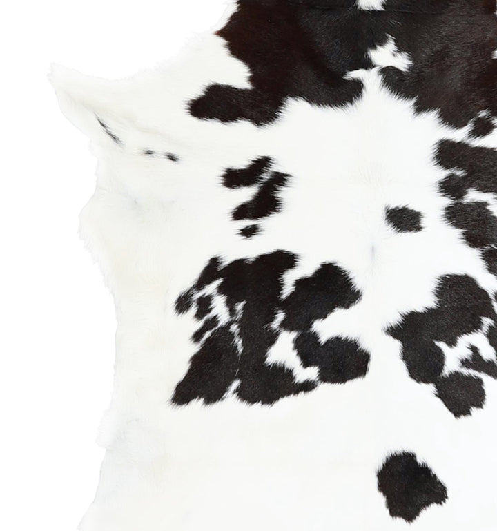 Calfhide Approx 2'x3' #A42380 by Hudson Hides