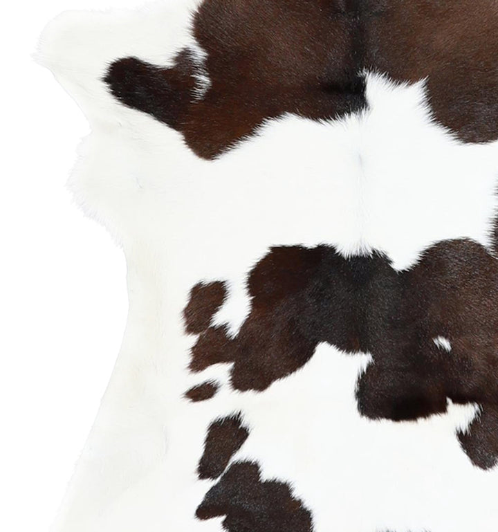 Calfhide Approx 2'x3' #A42410 by Hudson Hides
