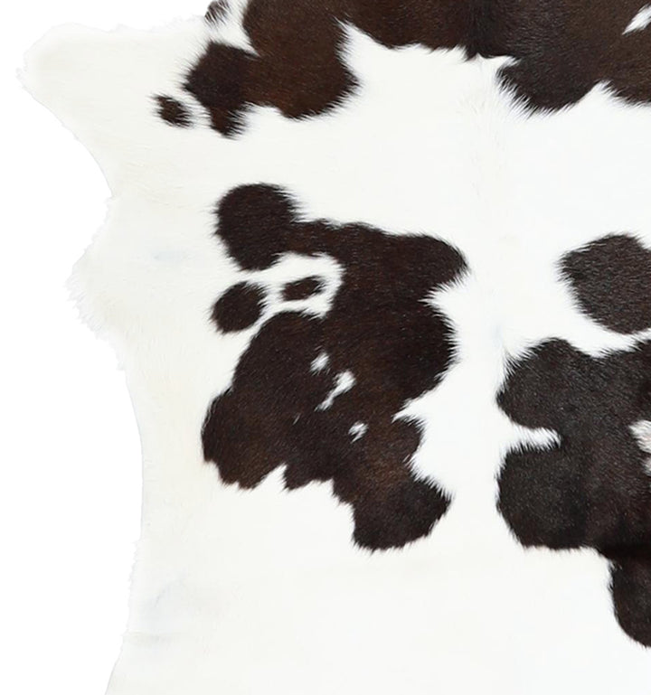 Calfhide Approx 2'x3' #A42411 by Hudson Hides
