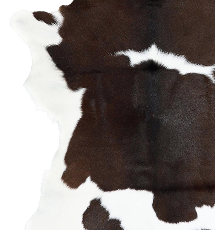 Calfhide Approx 2'x3' #A42419 by Hudson Hides
