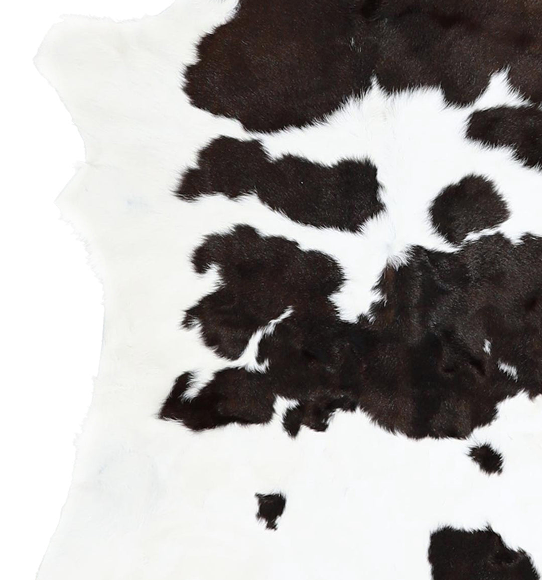 Calfhide Approx 2'x3' #A42421 by Hudson Hides