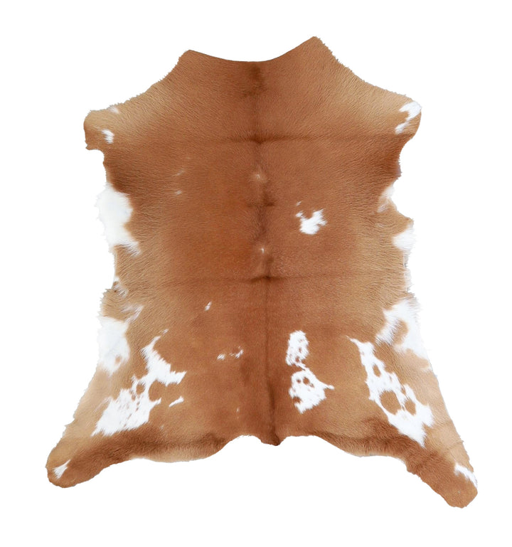 Calfhide Approx 2'x3' #A42435 by Hudson Hides