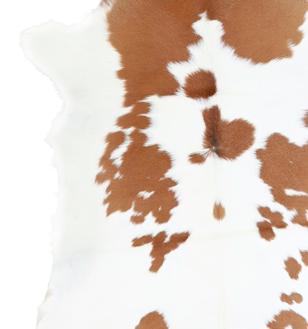 Calfhide Approx 2'x3' #A42445 by Hudson Hides