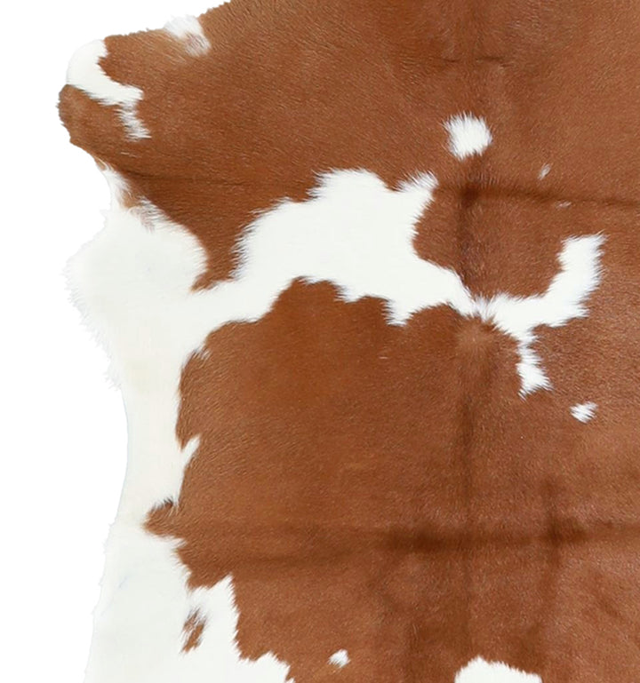 Calfhide Approx 2'x3' #A42446 by Hudson Hides