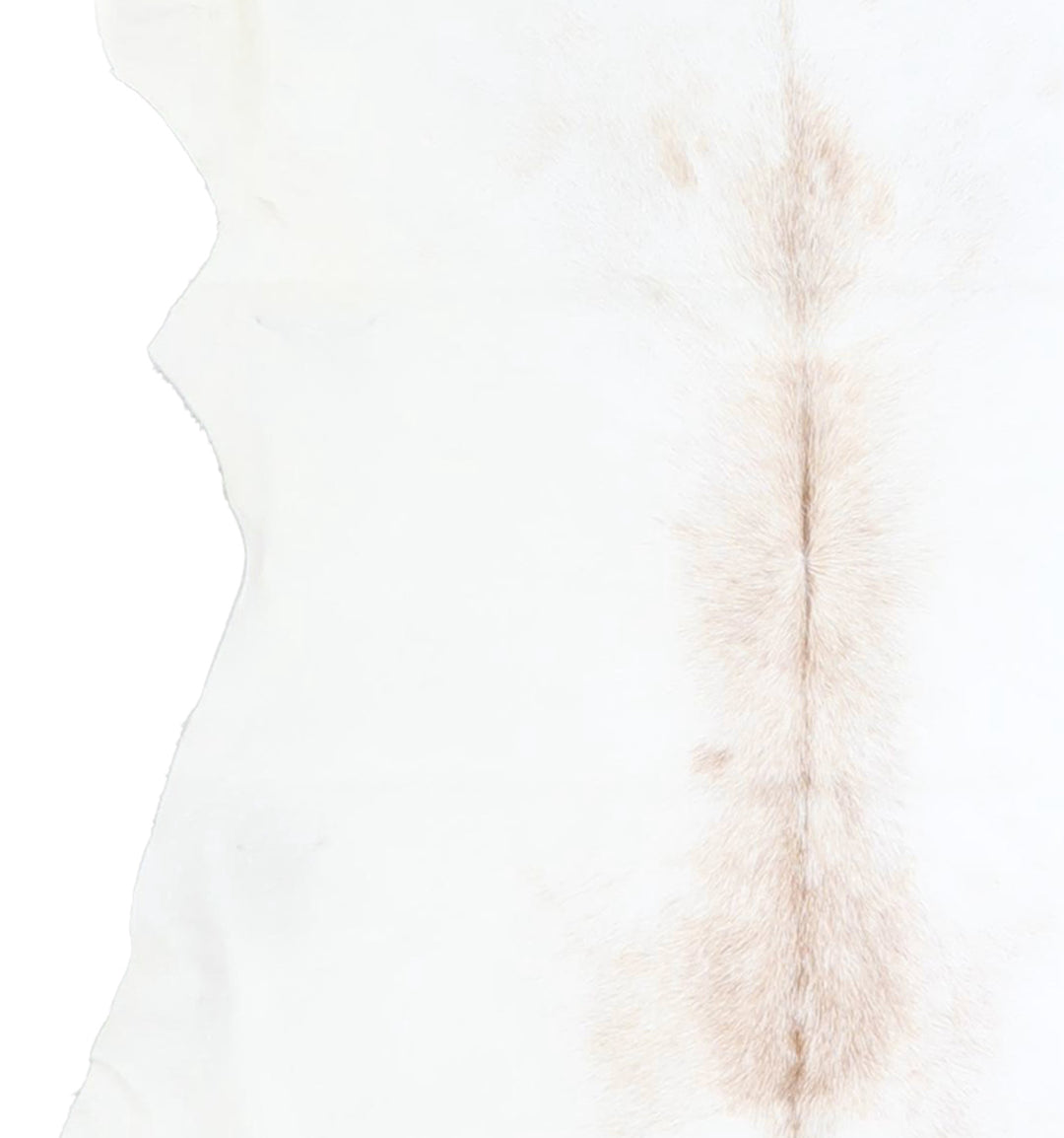 Calfhide Approx 2'x3' #A42473 by Hudson Hides