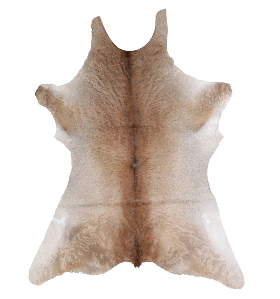 Calfhide Approx 2'x3' #A42474 by Hudson Hides