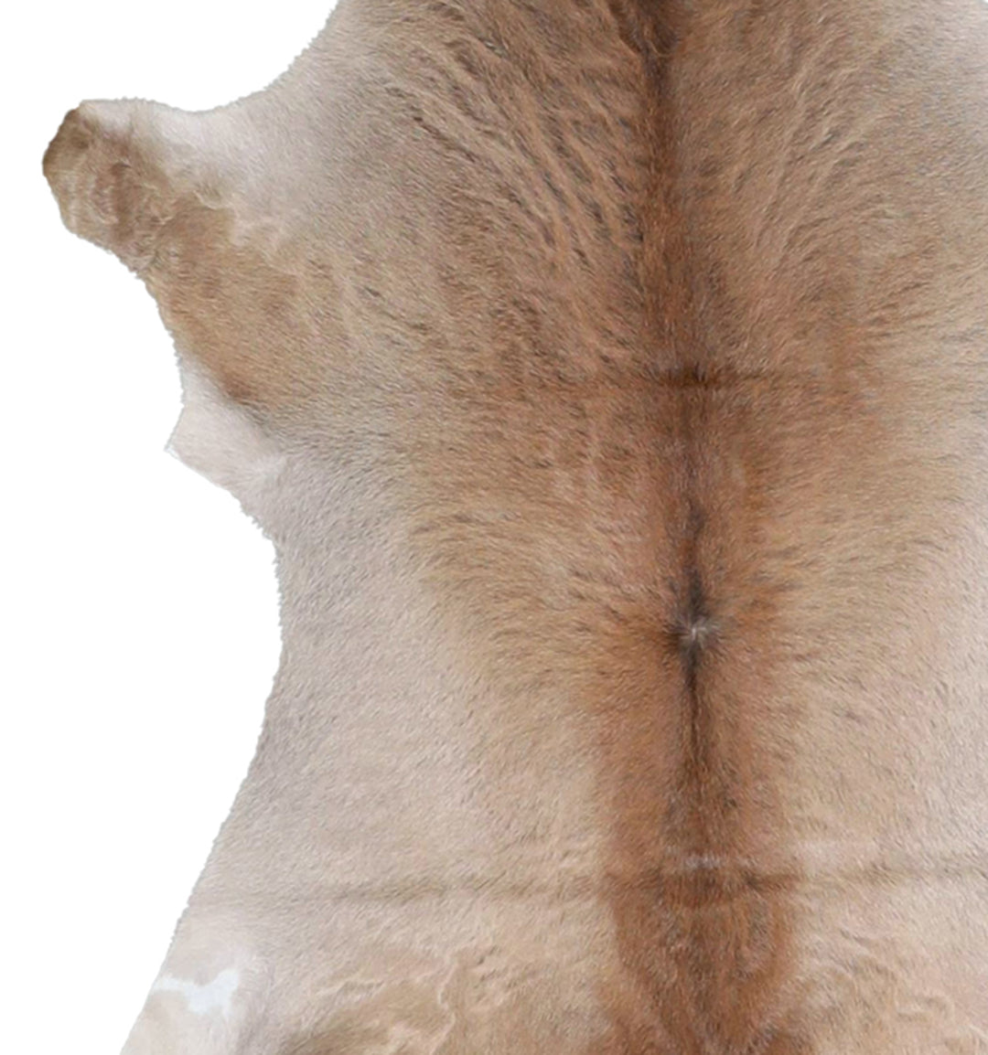 Calfhide Approx 2'x3' #A42474 by Hudson Hides