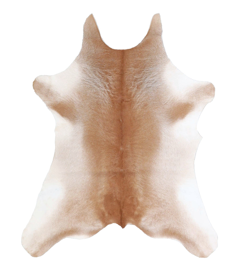 Calfhide Approx 2'x3' #A42475 by Hudson Hides