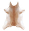 Calfhide Approx 2'x3' #A42475 by Hudson Hides