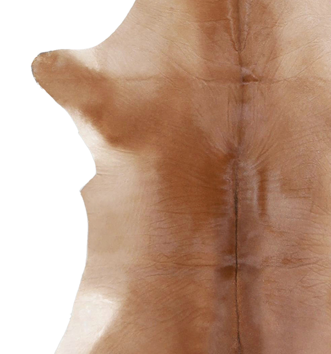 Calfhide Approx 2'x3' #A42476 by Hudson Hides