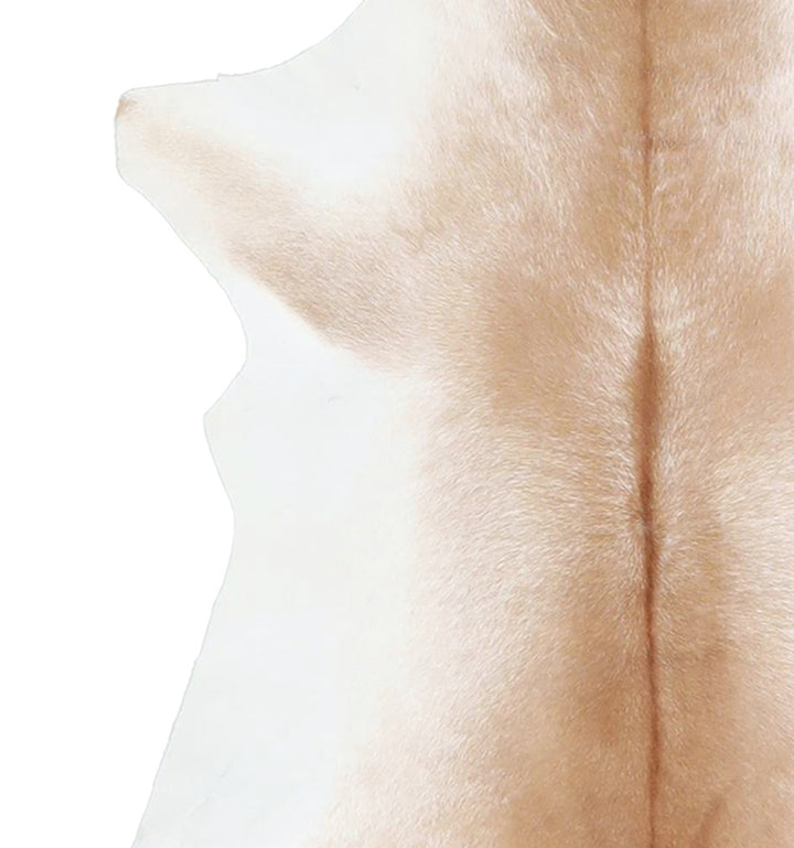 Calfhide Approx 2'x3' #A42479 by Hudson Hides