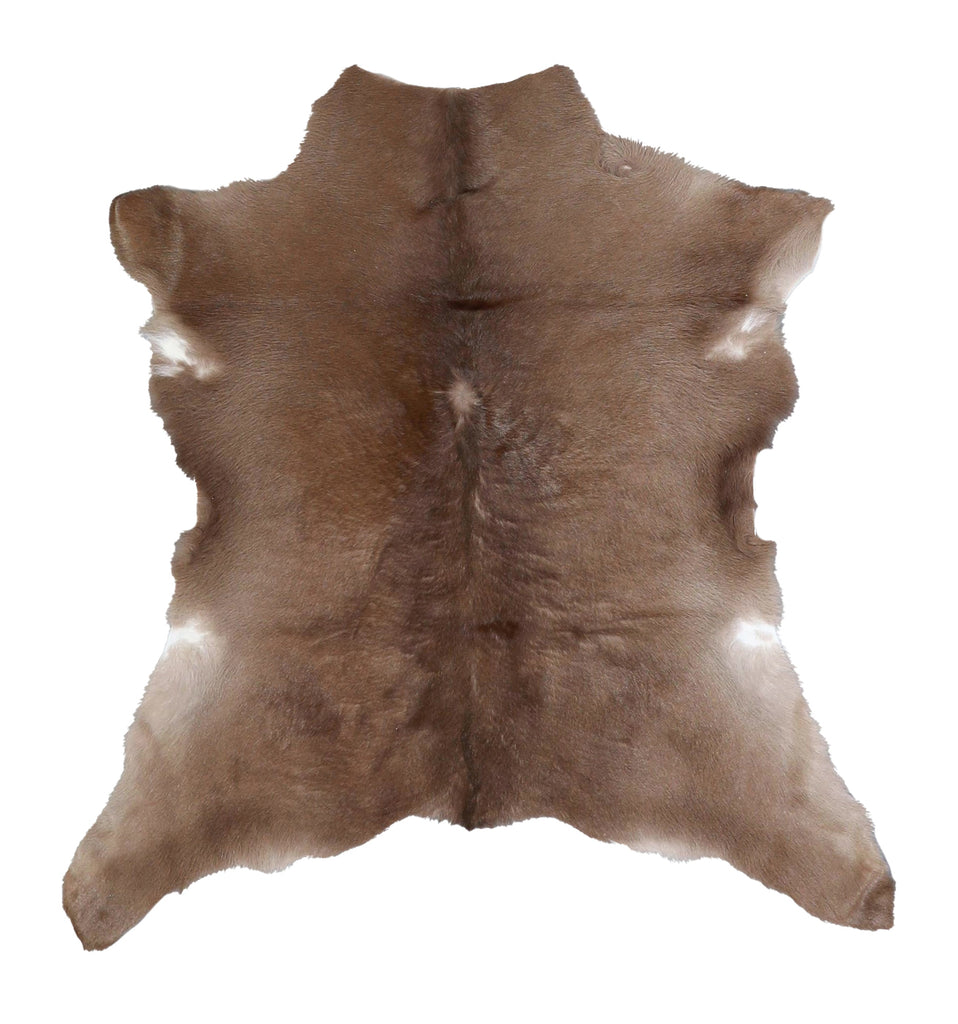 Calfhide Approx 2'x3' #A42480 by Hudson Hides