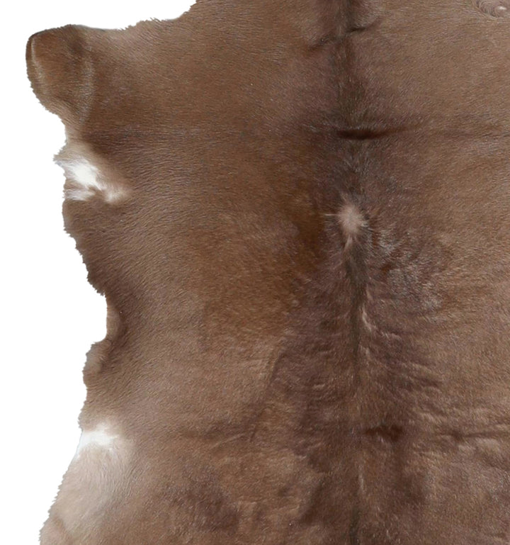 Calfhide Approx 2'x3' #A42480 by Hudson Hides