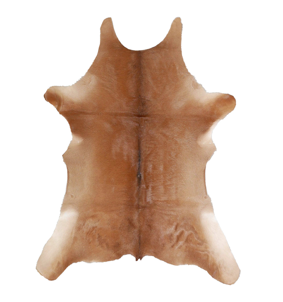 Calfhide Approx 2'x3' #A42481 by Hudson Hides