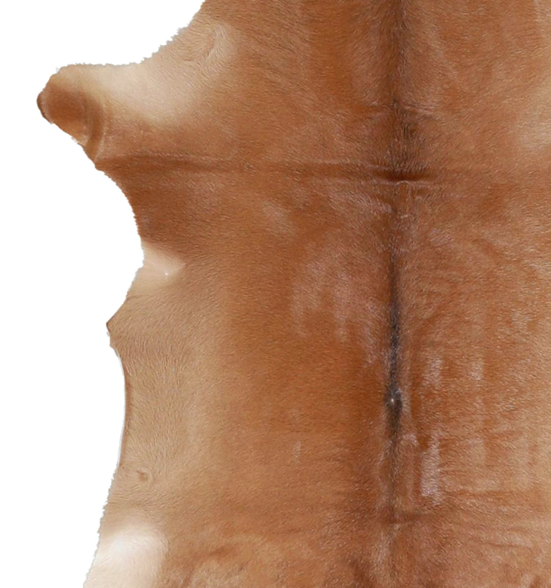 Calfhide Approx 2'x3' #A42481 by Hudson Hides