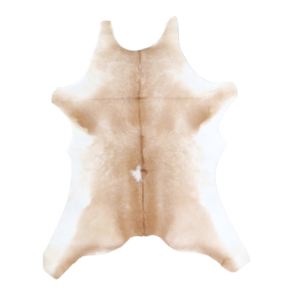Calfhide Approx 2'x3' #A42483 by Hudson Hides