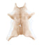 Calfhide Approx 2'x3' #A42483 by Hudson Hides