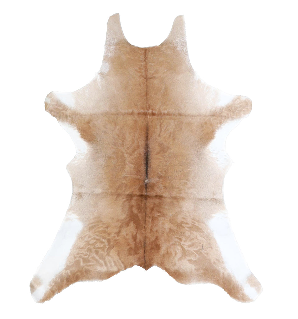 Calfhide Approx 2'x3' #A42484 by Hudson Hides