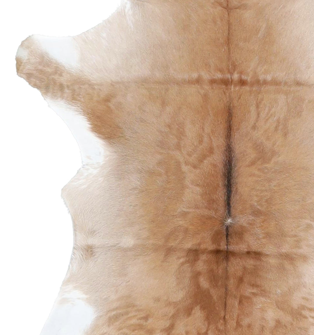 Calfhide Approx 2'x3' #A42484 by Hudson Hides