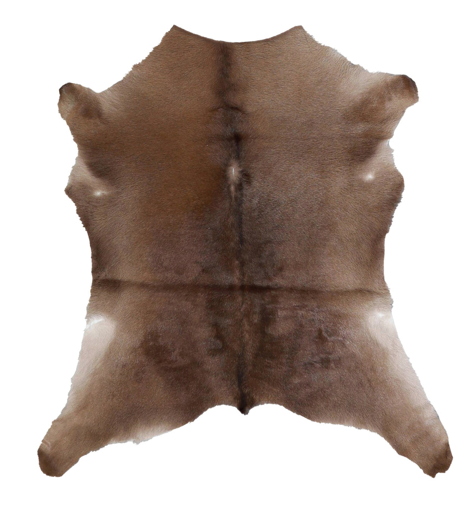 Calfhide Approx 2'x3' #A42485 by Hudson Hides