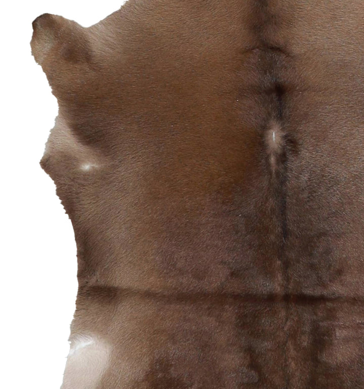 Calfhide Approx 2'x3' #A42485 by Hudson Hides