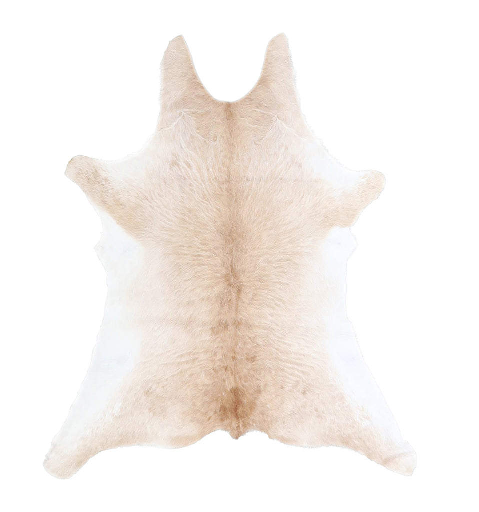 Calfhide Approx 2'x3' #A42487 by Hudson Hides