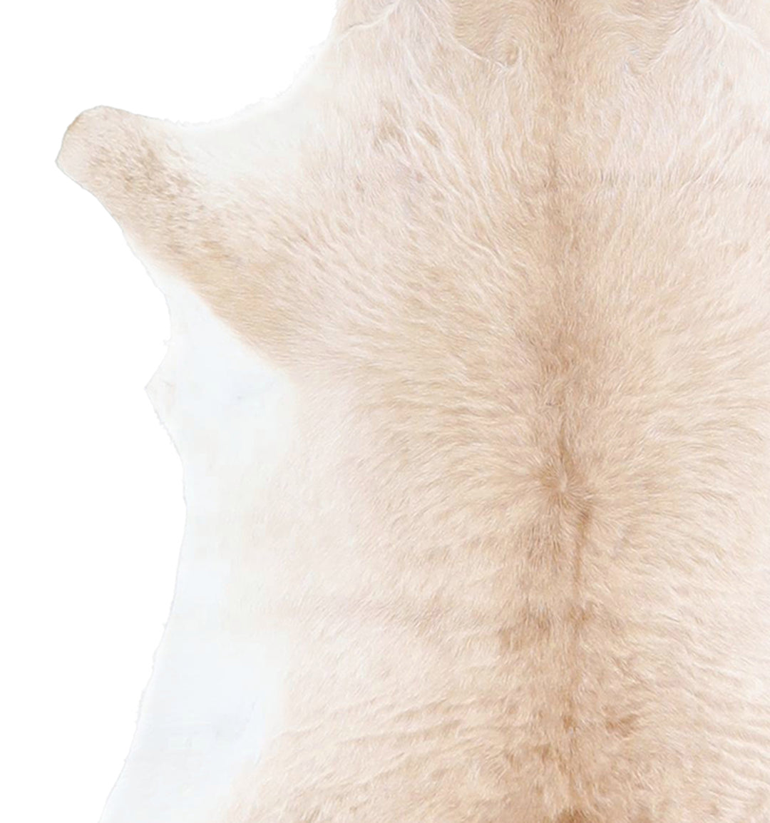 Calfhide Approx 2'x3' #A42487 by Hudson Hides