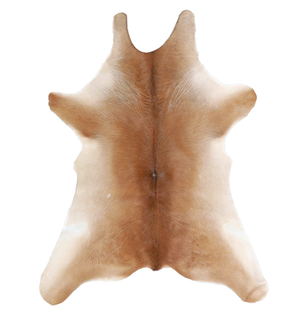 Calfhide Approx 2'x3' #A42488 by Hudson Hides