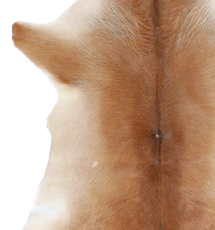 Calfhide Approx 2'x3' #A42488 by Hudson Hides