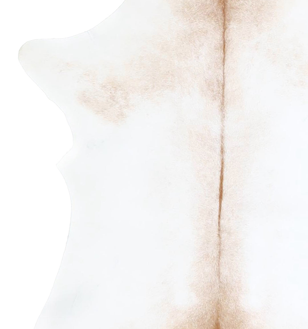 Calfhide Approx 2'x3' #A42490 by Hudson Hides