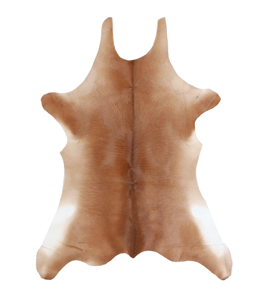 Calfhide Approx 2'x3' #A42491 by Hudson Hides