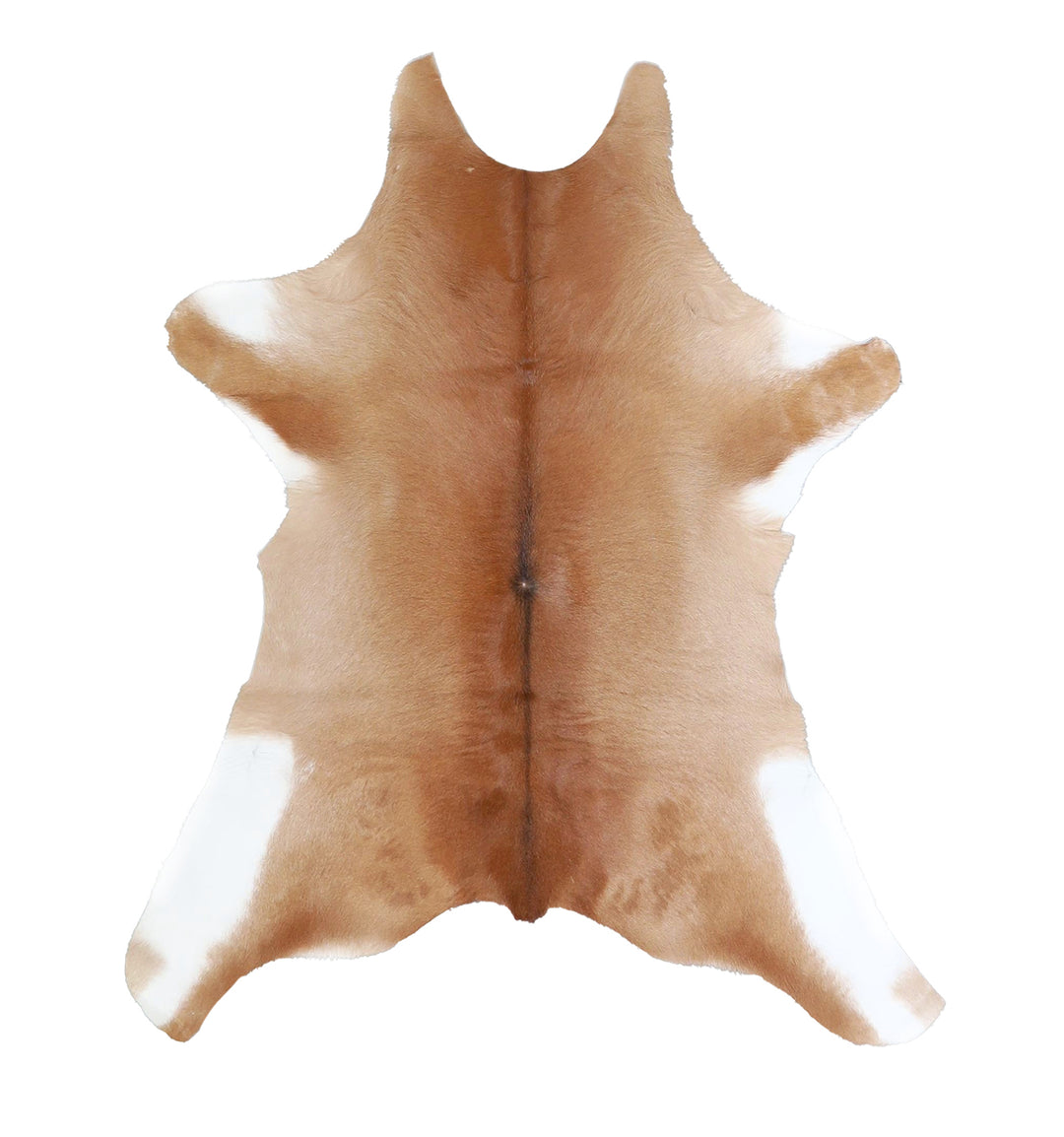 Calfhide Approx 2'x3' #A42493 by Hudson Hides