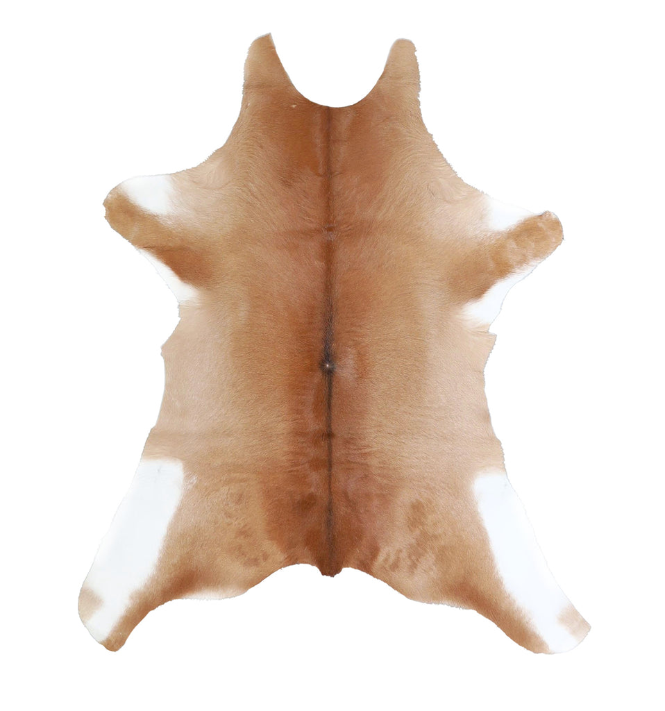 Calfhide Approx 2'x3' #A42493 by Hudson Hides