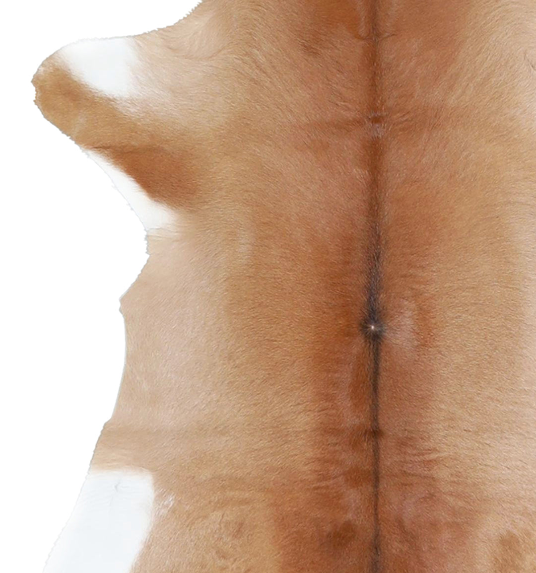 Calfhide Approx 2'x3' #A42493 by Hudson Hides