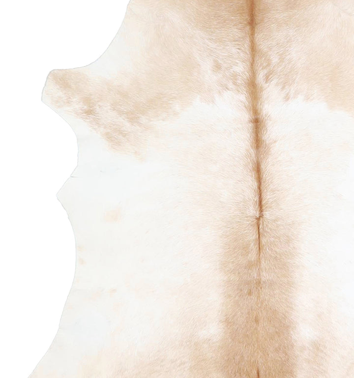 Calfhide Approx 2'x3' #A42495 by Hudson Hides