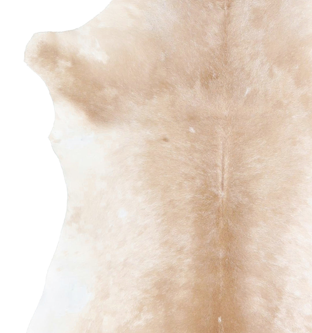 Calfhide Approx 2'x3' #A42496 by Hudson Hides